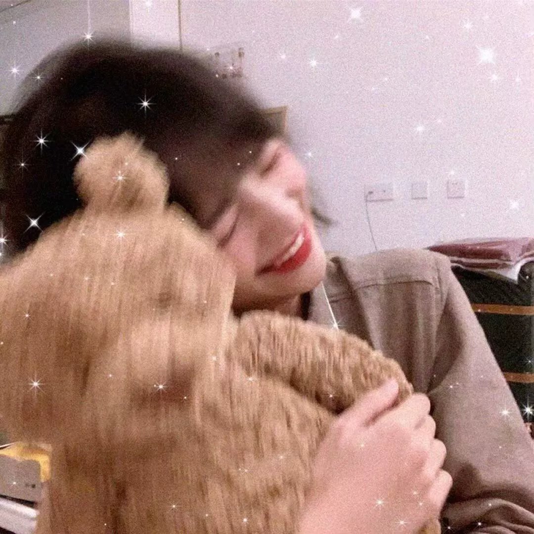 条子家族的崩溃